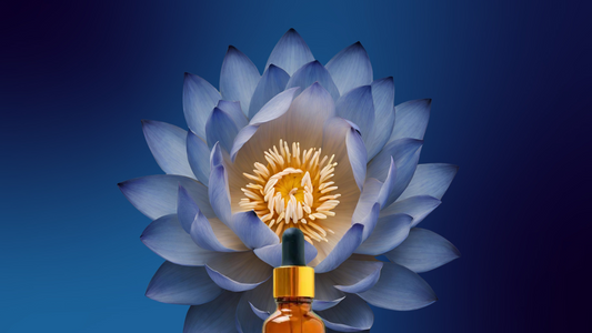 (Pre-order) Daydream ✦ Blue Lotus Tincture